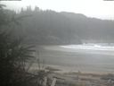 ./images/calvert/beach/20200301/beach20200301_133503.jpg