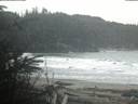 ./images/calvert/beach/20200302/beach20200302_070503.jpg
