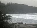 ./images/calvert/beach/20200305/beach20200305_100003.jpg