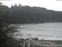 ./images/calvert/beach/20200307/beach20200307_121003.jpg