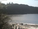 ./images/calvert/beach/20200308/beach20200308_123502.jpg