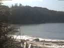 ./images/calvert/beach/20200308/beach20200308_124502.jpg