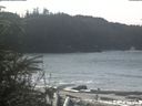 ./images/calvert/beach/20200309/beach20200309_124002.jpg
