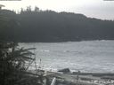 ./images/calvert/beach/20200309/beach20200309_131502.jpg