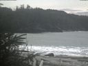 ./images/calvert/beach/20200309/beach20200309_134002.jpg