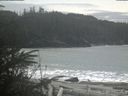 ./images/calvert/beach/20200309/beach20200309_134502.jpg