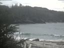 ./images/calvert/beach/20200309/beach20200309_141002.jpg