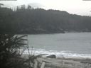 ./images/calvert/beach/20200309/beach20200309_141503.jpg