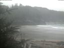 ./images/calvert/beach/20200310/beach20200310_101503.jpg