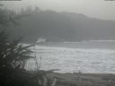 ./images/calvert/beach/20200310/beach20200310_131002.jpg