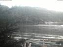 ./images/calvert/beach/20200310/beach20200310_194503.jpg