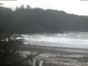 ./images/calvert/beach/20200311/beach20200311_122503.jpg