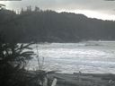 ./images/calvert/beach/20200311/beach20200311_135502.jpg