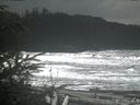 ./images/calvert/beach/20200311/beach20200311_140001.jpg