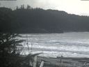 ./images/calvert/beach/20200311/beach20200311_140502.jpg