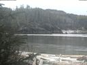 ./images/calvert/beach/20200312/beach20200312_102502.jpg