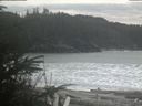 ./images/calvert/beach/20200312/beach20200312_161003.jpg