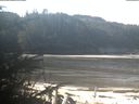 ./images/calvert/beach/20200313/beach20200313_111501.jpg