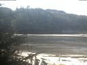 ./images/calvert/beach/20200313/beach20200313_112501.jpg