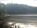 ./images/calvert/beach/20200313/beach20200313_113502.jpg
