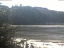 ./images/calvert/beach/20200313/beach20200313_114002.jpg