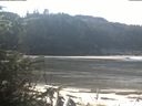 ./images/calvert/beach/20200313/beach20200313_114503.jpg