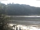 ./images/calvert/beach/20200313/beach20200313_115503.jpg