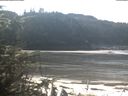 ./images/calvert/beach/20200313/beach20200313_120502.jpg