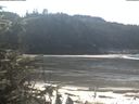 ./images/calvert/beach/20200313/beach20200313_121502.jpg