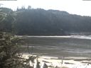 ./images/calvert/beach/20200313/beach20200313_122002.jpg
