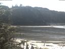 ./images/calvert/beach/20200313/beach20200313_122503.jpg