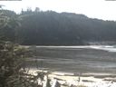 ./images/calvert/beach/20200313/beach20200313_123502.jpg