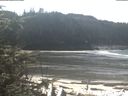 ./images/calvert/beach/20200313/beach20200313_124502.jpg