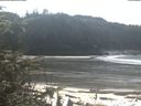 ./images/calvert/beach/20200313/beach20200313_125001.jpg