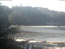 ./images/calvert/beach/20200314/beach20200314_103503.jpg