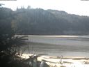 ./images/calvert/beach/20200314/beach20200314_105002.jpg