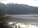 ./images/calvert/beach/20200314/beach20200314_113501.jpg
