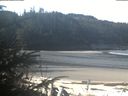 ./images/calvert/beach/20200315/beach20200315_112502.jpg