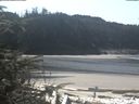 ./images/calvert/beach/20200315/beach20200315_125501.jpg