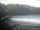 ./images/calvert/beach/20200317/beach20200317_093502.jpg