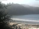 ./images/calvert/beach/20200318/beach20200318_110501.jpg