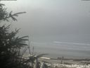 ./images/calvert/beach/20200318/beach20200318_114502.jpg