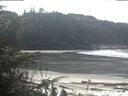 ./images/calvert/beach/20200331/beach20200331_114002.jpg