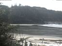 ./images/calvert/beach/20200331/beach20200331_114502.jpg