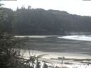 ./images/calvert/beach/20200331/beach20200331_115003.jpg