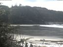 ./images/calvert/beach/20200331/beach20200331_115501.jpg