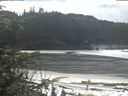 ./images/calvert/beach/20200331/beach20200331_123503.jpg