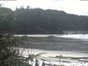 ./images/calvert/beach/20200331/beach20200331_124503.jpg