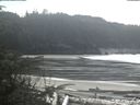 ./images/calvert/beach/20200331/beach20200331_130501.jpg
