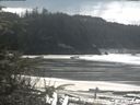 ./images/calvert/beach/20200331/beach20200331_135502.jpg